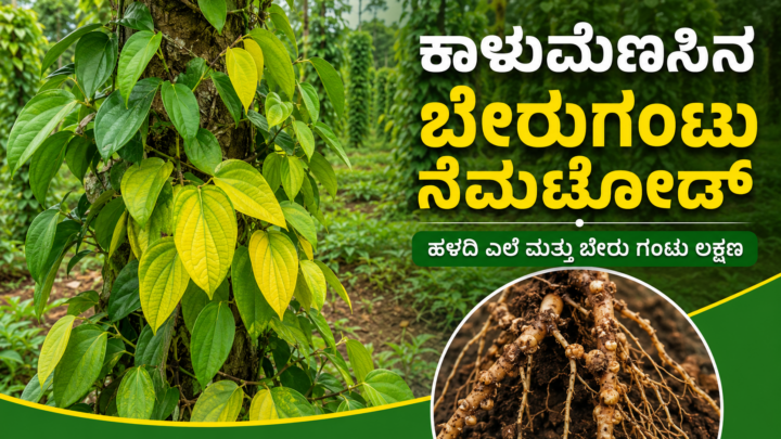 ಬೇರುಗಂಟು ನೆಮಟೋಡ್